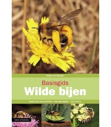 Basic guide to wild bees