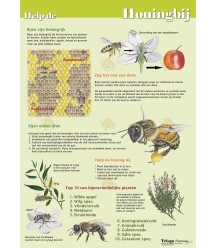Help the honeybee, A4 card