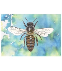 Postcard top view honey bee blue