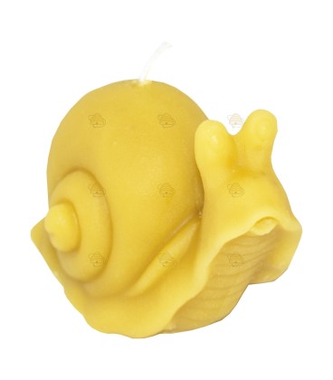 Snail, cast