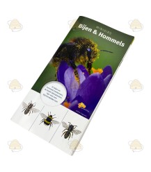 Mini Guide to Bees and Bumblebees