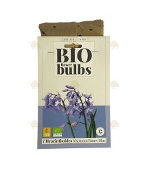 Hyacinth Spanish blue 7 pcs (bulbs, organic)