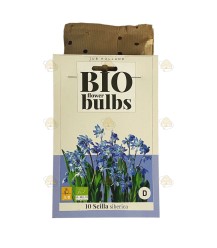 Oriental star hyacinth 10 pcs (bulbs, organic)