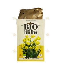 Daffodil Tête-à-Tête 5 pcs (bulbs, organic)