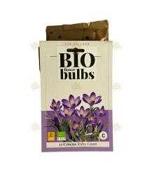 Crocus Ruby Giant 15 pcs (flower bulbs, organic)