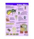 The life of the wild bee A1 poster