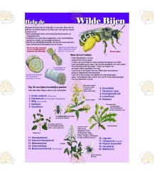 Poster help the wild bee A1