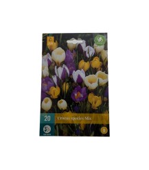 Crocus kleuren mix 20 stuks (bloembollen)