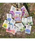 Blomsterløk av trekkplanter