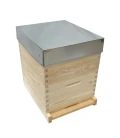 Langstroth US de pared simple (cuadros de 482 mm)