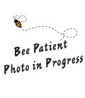 Langstroth hive frames and beeswax foundation (482 mm frames)
