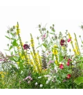 Miscele di fiori e miscele