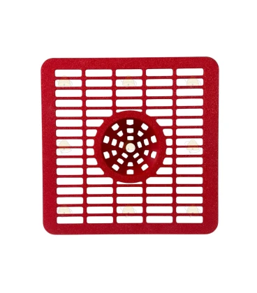 Selectief frontje met kegel voor Aziatische hoornaar