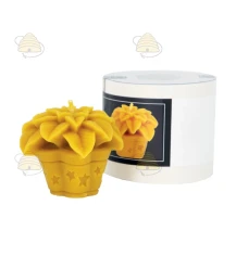 Star of Bethlehem plant, silicone candle mold
