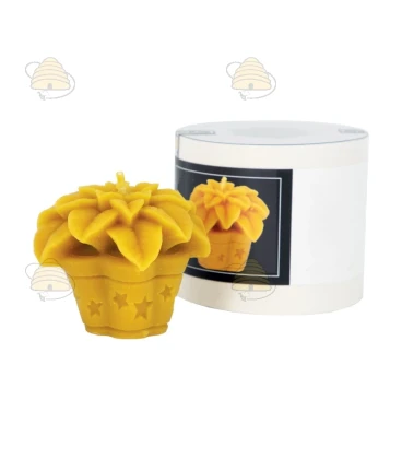 Betlehemsstjerne plante, silikoneform til lys