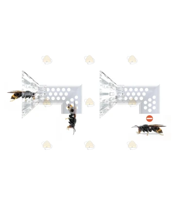 Hoornaarval met emmer - Large