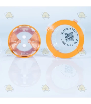 Selectieve Aziatische hoornaarval met diffusietechnologie