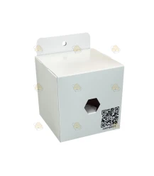 Ahembriox - Aziatische Hoornaar Koninginnen val