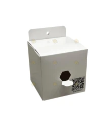 Ahembriox - Aziatische Hoornaar Koninginnen val