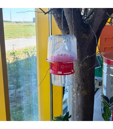 PRE ORDER: Selectieve Aziatische hoornaarval met diffusietechnologie - BeeFun