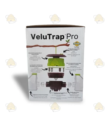 Asian hornet trap Velutina Trap hanging/standing