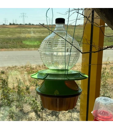 Asian hornet trap Deluxe
