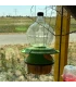 Asian hornet trap Deluxe