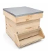 Hornet Protector Premium Pine BeeFun®