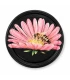 Kasse med låg, bi på rosa marguerit, 63 mm TO - 1440 stk