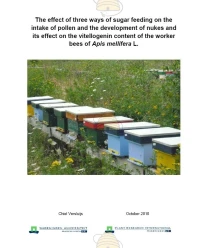 The effect of three ways of sugar feeding on honey bees full report