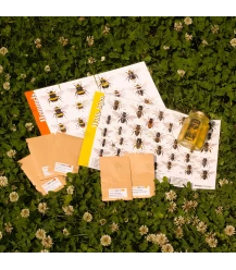 Flower seeds tasting packet