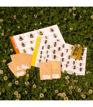 Flower seeds tasting packet