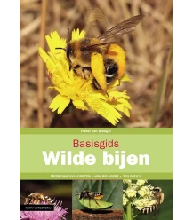 Basisgids Wilde bijen