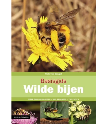 Basic guide to wild bees