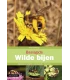 Basic guide to wild bees