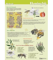 Poster help the honey bee A1