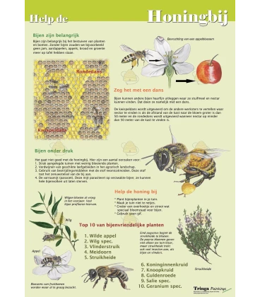 Poster help the honey bee A1