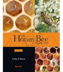 The Honey Bee Inside Out