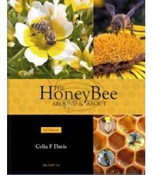 The Honey Bee Around & About