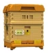 Apimaye Ergo hive Deep Brood Box and Medium Super Langstroth