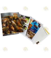 NBV Basic course in beekeeping (folder, practical and theory part)