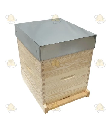 Langstroth US single-walled hive