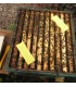 Thymovar tegen Varroa