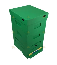 Hive Dadant Blatt polystyrene green 10-window