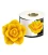 Rose detailed, silicone candle mold