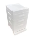 Hive Frankenbeute Dadant Blatt polystyrene