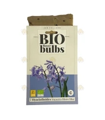 Hyacinten Spaans blauw 7 stuks (bloembollen, bio)