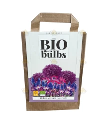 [OUD] Gift bag organic flower bulbs 40 pieces