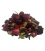 Rosebud for soap & cosmetics - 10 grams