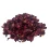 Rose petals for soap & cosmetics - 10 g